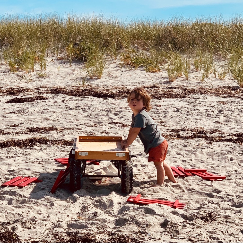 Zara palm tree 🌴 swim trunk 12-24M